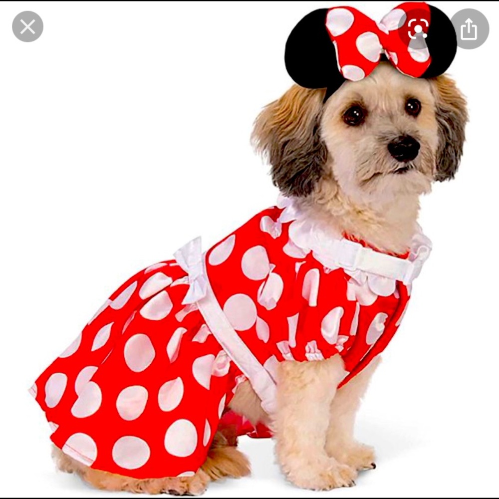 Disney Minnie Mouse dog costume